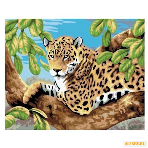 Color Kit Картина по номерам