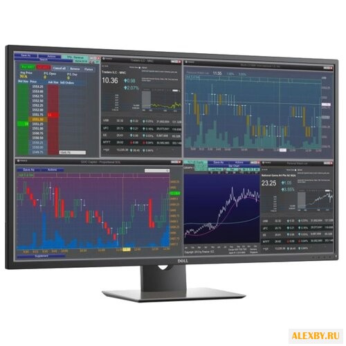 Монитор DELL P4317Q