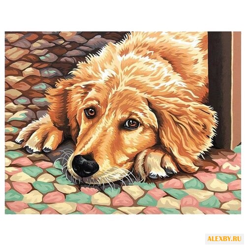 Dimensions Картина по номерам