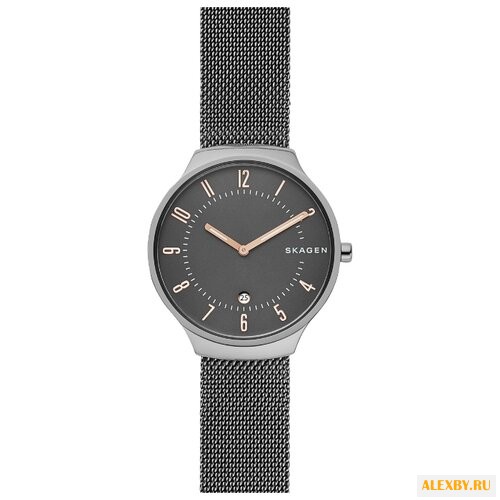 Наручные часы SKAGEN SKW6460