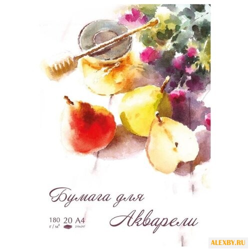 Папка для акварели №1 School