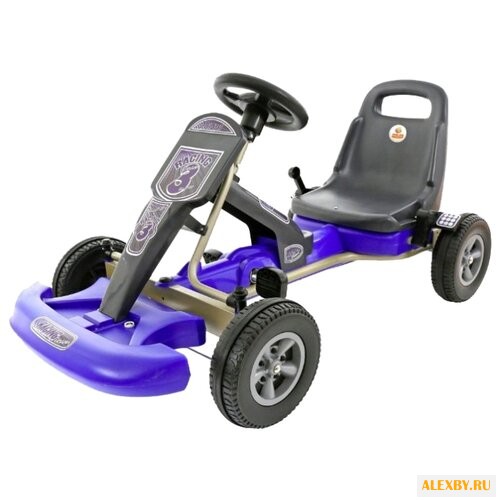 Веломобиль Полесье Карт