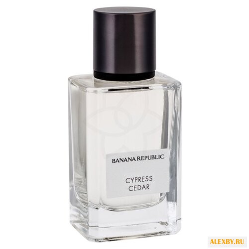 Banana Republic Cypress Cedar