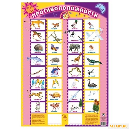 Плакат Маленький гений