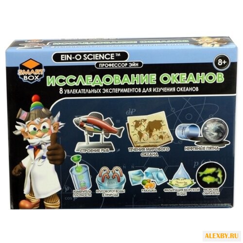 Набор Профессор Эйн