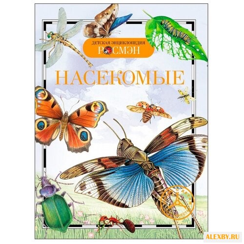 Травина И. В. Детская