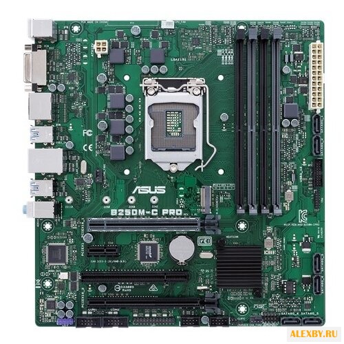 Материнская плата ASUS B250M-C