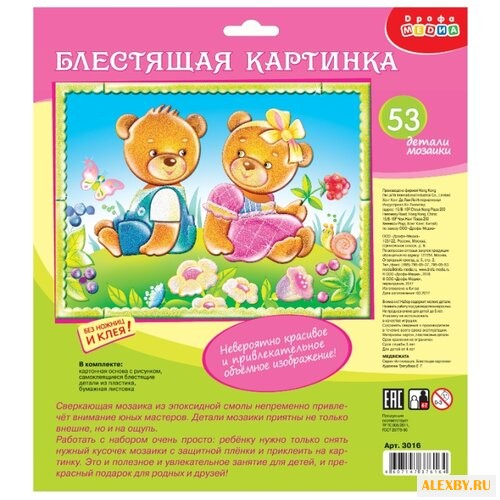 Дрофа-Медиа Набор для создания