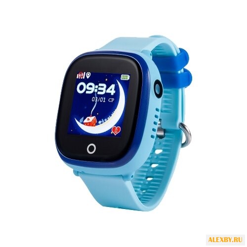 Часы CARCAM GW400X