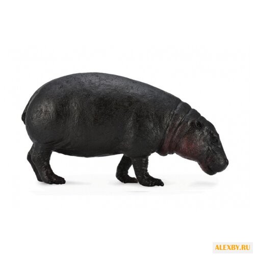 Collecta Карликовый бегемот 88686
