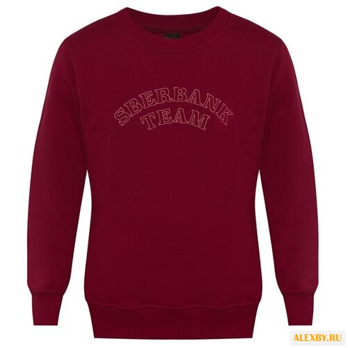 Свитшот Sberbank Team мужской