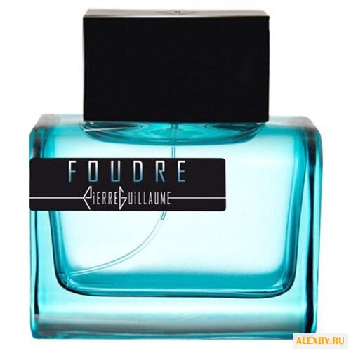 Pierre Guillaume Foudre