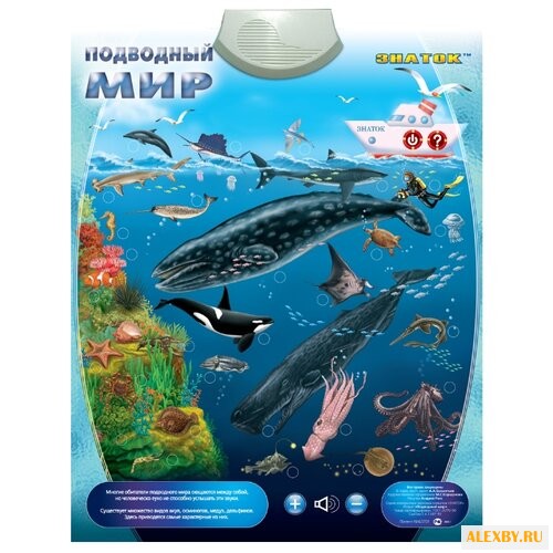 Электронный плакат Знаток