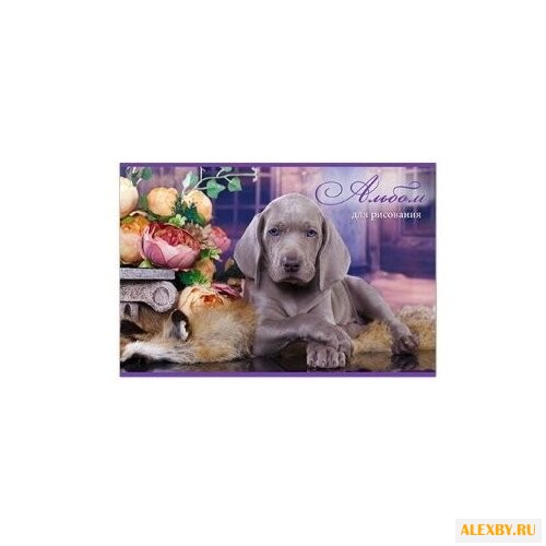 Альбом для рисования BG