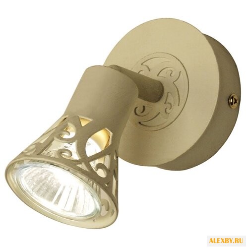 Спот Citilux Винон CL519515