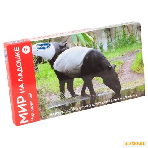 Набор карточек Умница Мир на