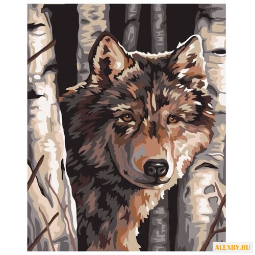 Dimensions Картина по номерам