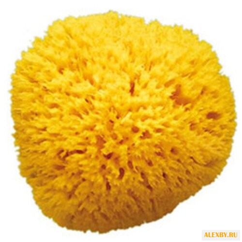 Мочалка Baby Ok Honeycomb