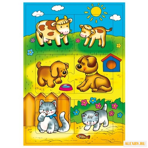 Рамка-вкладыш Дрофа-Медиа А у