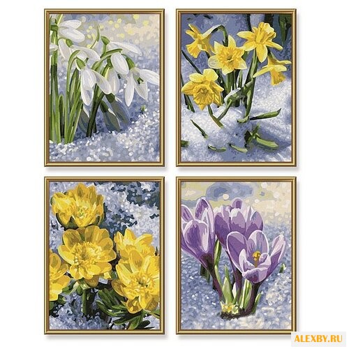 Schipper Картины по номерам