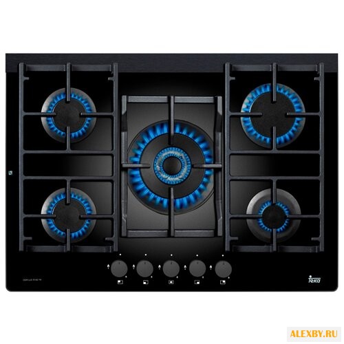 Варочная панель TEKA WISH