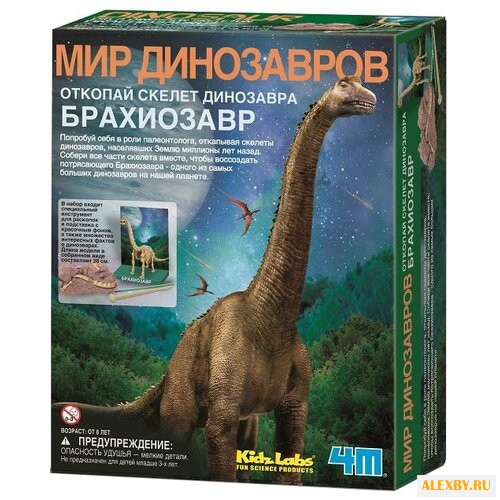 Набор для раскопок 4M Откопай