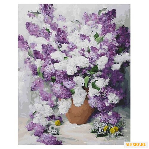 Белоснежка Картина по номерам