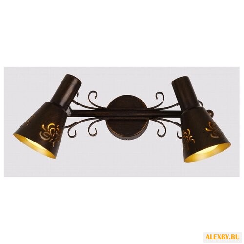 Спот Citilux Дункан CL529521