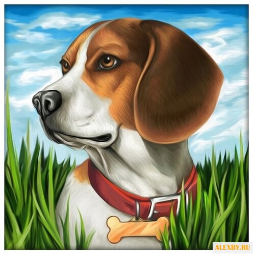 Алмазная живопись Набор