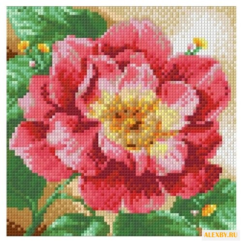 Алмазная живопись Набор