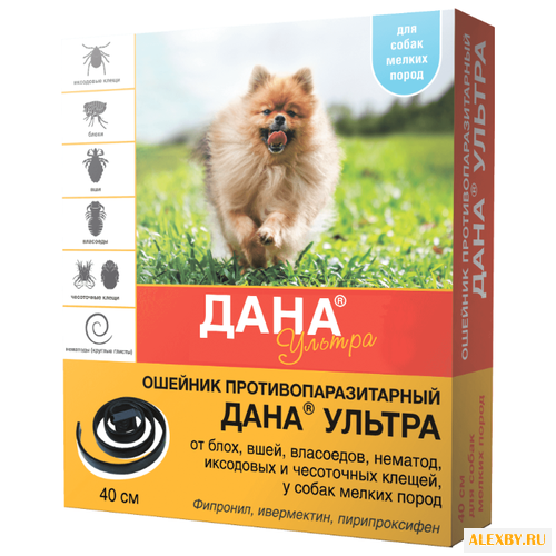Api-San Дана Ультра Ошейник для