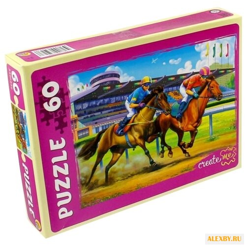 Пазл Рыжий кот Скачки П60-5923