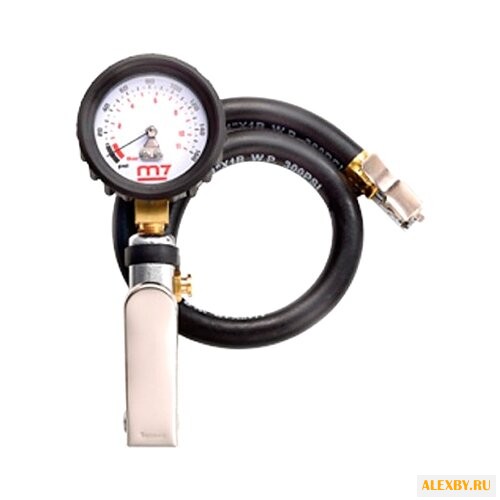 Пневмопистолет для накачки шин