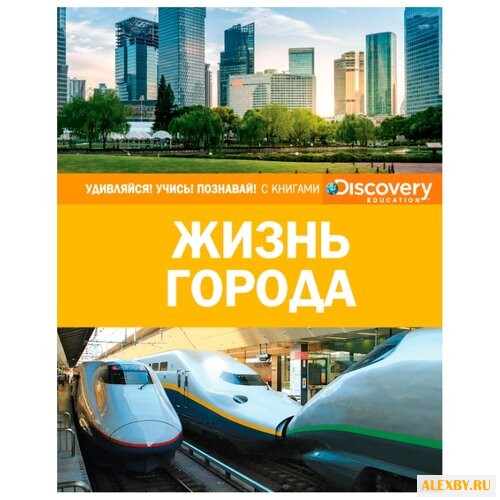 Жизнь города 2017