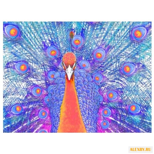 Color Kit Картина по номерам