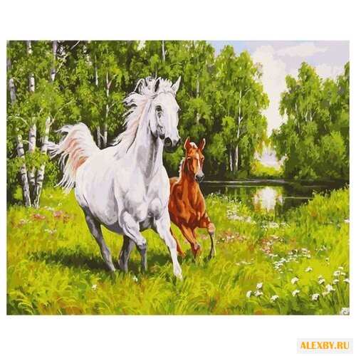 Белоснежка Картина по номерам