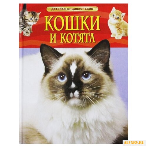 Детская энциклопедия. Кошки и