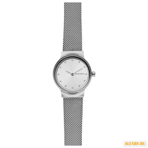 Наручные часы SKAGEN SKW2715