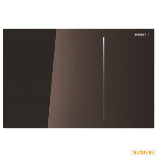 Кнопка смыва GEBERIT