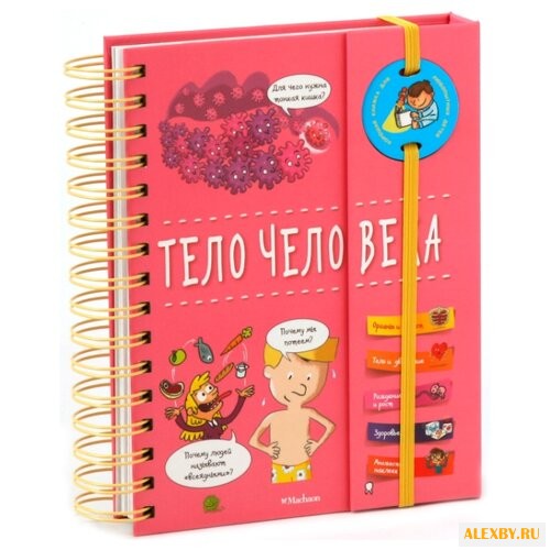 Тело человека