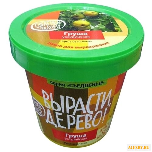 Набор для выращивания Вырасти
