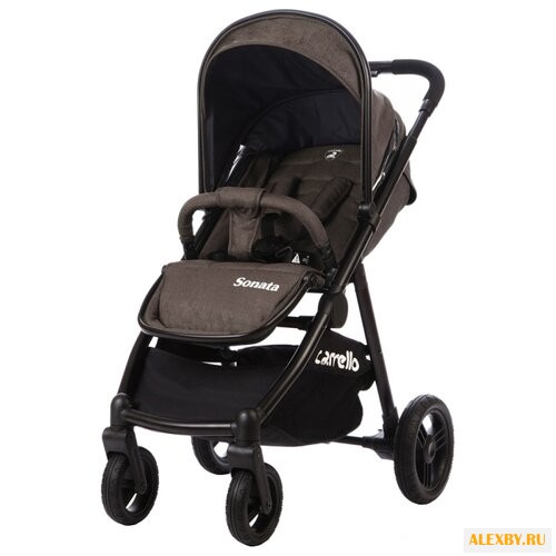 Прогулочная коляска CARRELLO