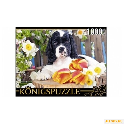 Пазл Рыжий кот Konigspuzzle