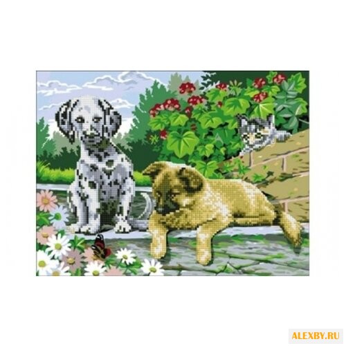 Рыжий кот Набор алмазной