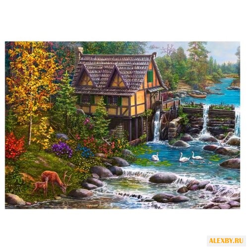 Рыжий кот Картина по номерам