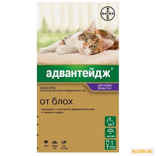 Адвантейдж Bayer Адвантейдж для