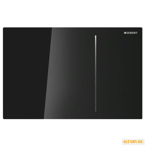 Кнопка смыва GEBERIT