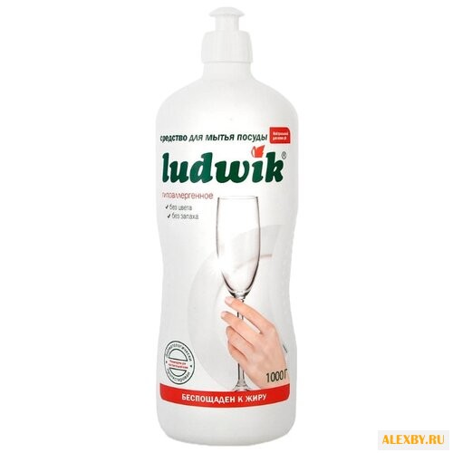 LUDWIK Средство для мытья