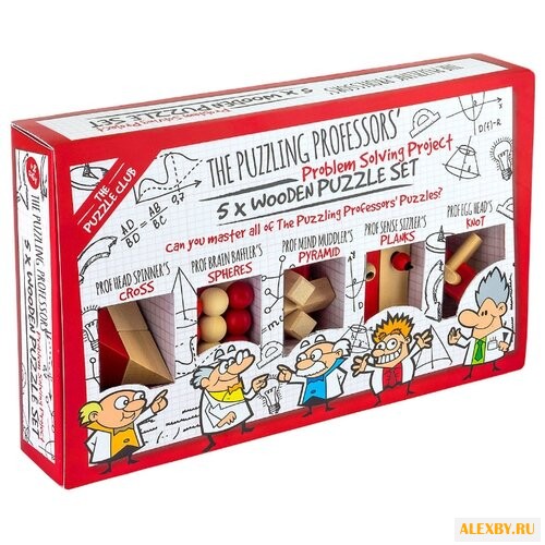 Набор головоломок Professor
