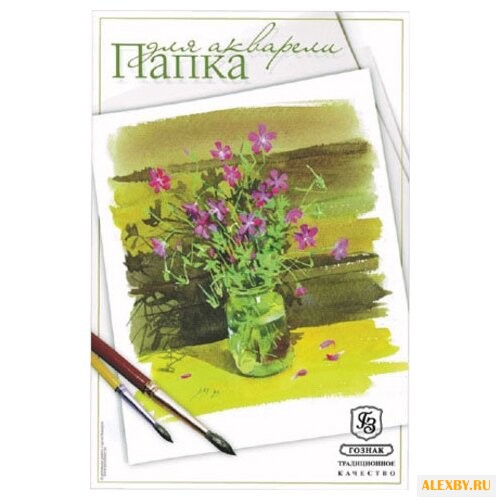 Папка для акварели Гознак